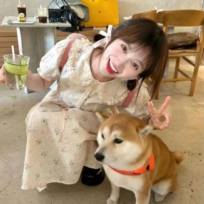 完美的救赎